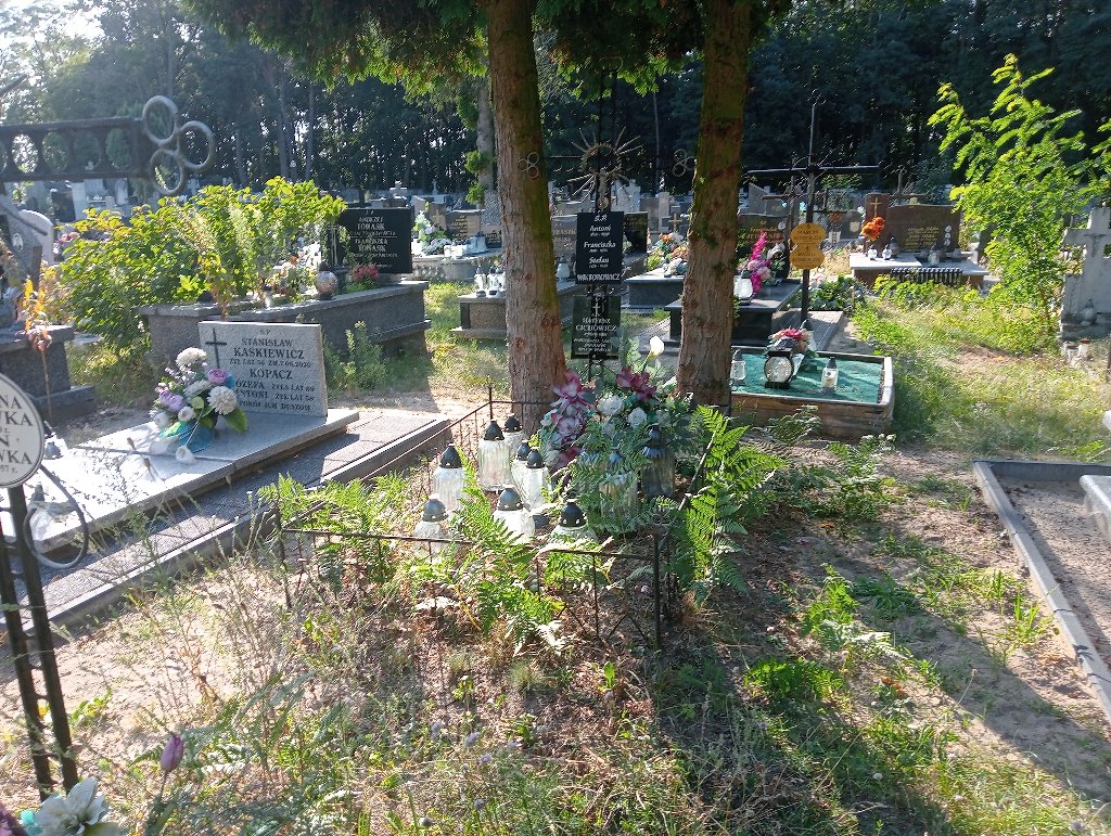 Grób Jan Wiktorowicz