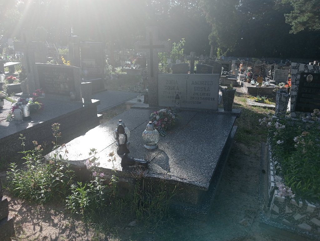 Grób Stanisław Goska